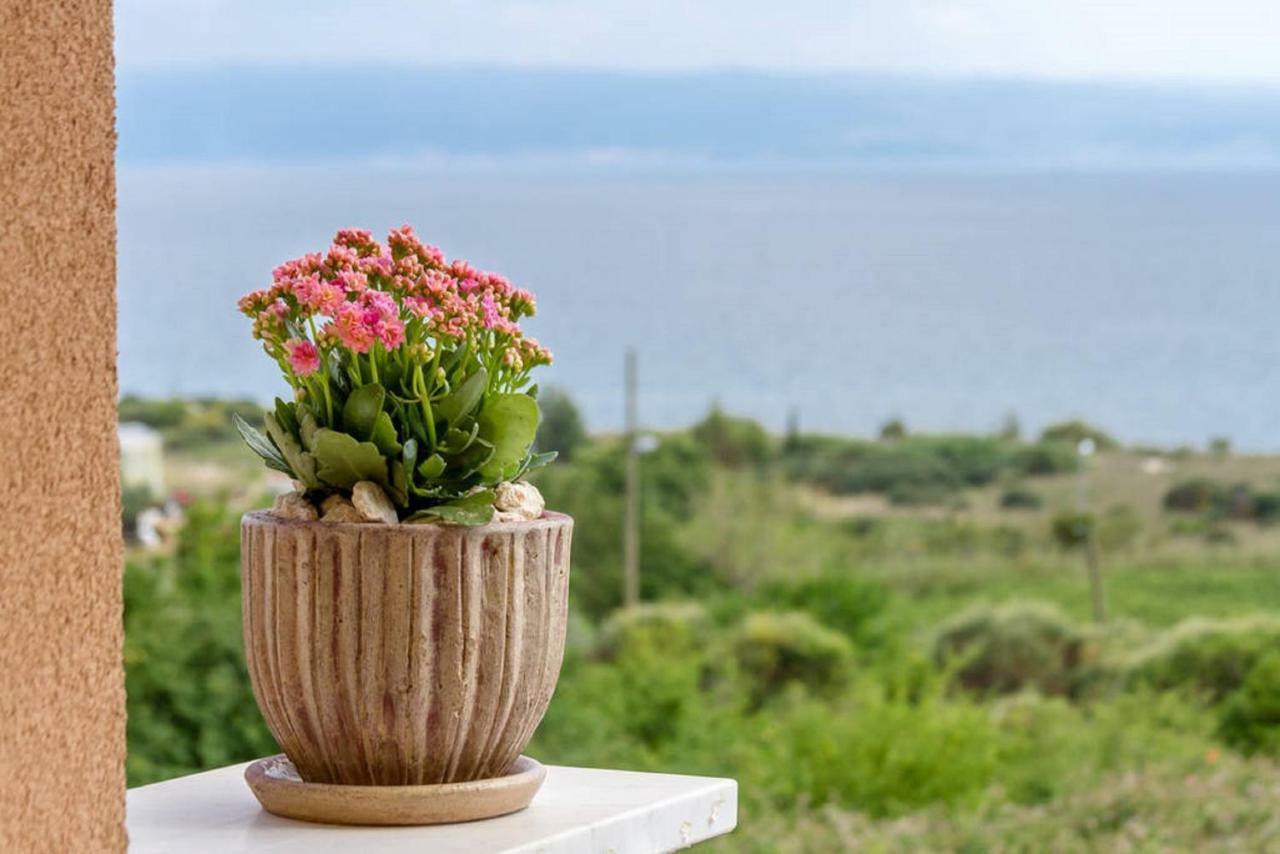Apartment Nika Split Dış mekan fotoğraf